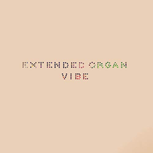 Vibes [VINYL] [Vinyl LP] von Important