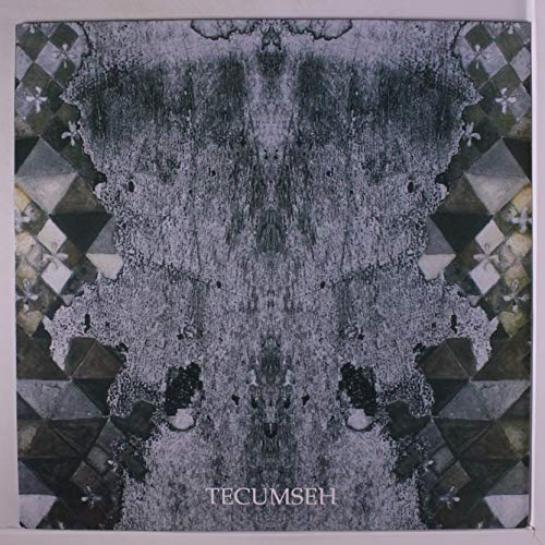 Avalanche & Inundation [Vinyl LP] von Important