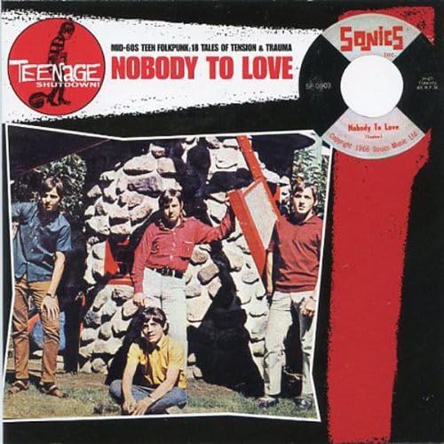 Nobody to Love [Vinyl LP] von Imports