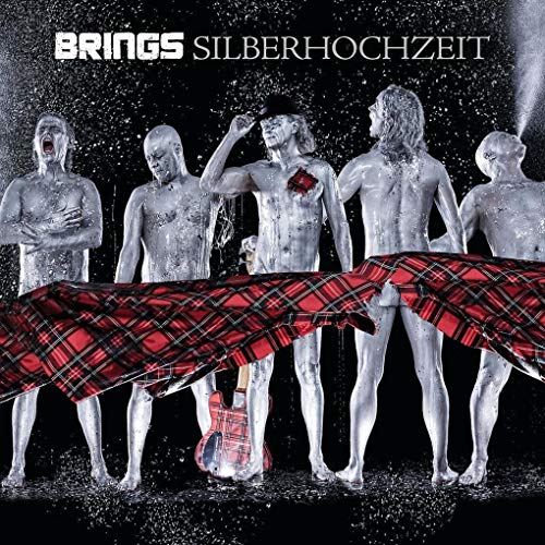 Silberhochzeit (Best of) von Imports