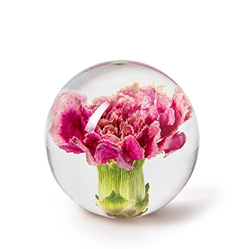 In Flore, Briefbeschwerer Nelke, 7 cm, Rosa In Flore, Briefbeschwerer Nelke, 7 cm, Rosa von In Flore