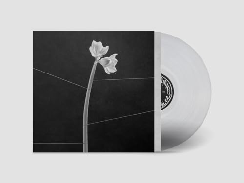 Dreamweaver (Transparent Crystal Clear Lp+Mp3) [Vinyl LP] von In My Room