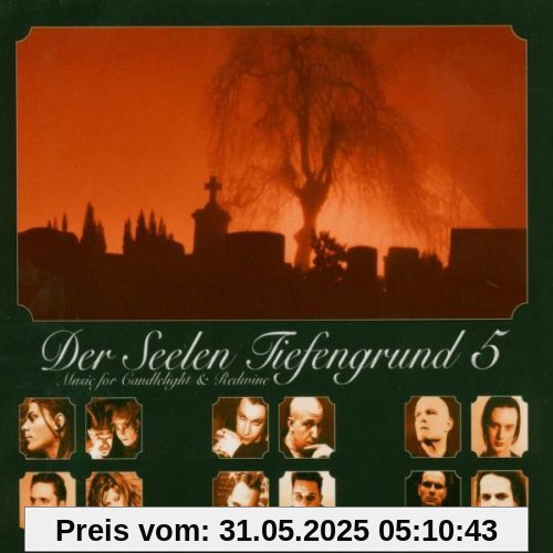 Der Seelen Tiefengrund 5 von In Strict Confidence