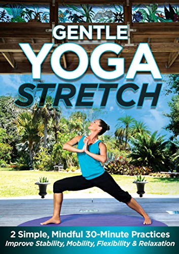 Gentle Yoga Stretch: 2 Simple, Mindful 30-Minute Practices to Improve Stability, Mobility, Flexibility and Relaxation with Jessica Smith [DVD] von In Wellness Systems LLC