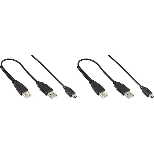 USB Mini-Y-Kabel, 2x Stecker A an Mini-B Stecker 5pol, 1,0m (Packung mit 2) von InLine