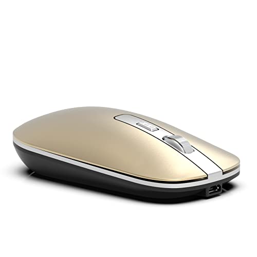 Inca IWM-531RS Bluetooth & Wireless Rechargeable Special Metallic Silent Mouse von Inca
