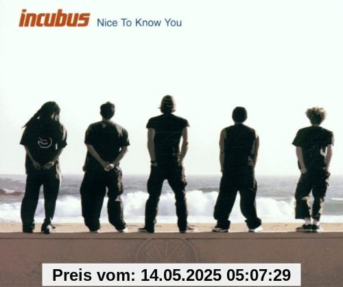 Nice to Know You Nice to Know You von Incubus