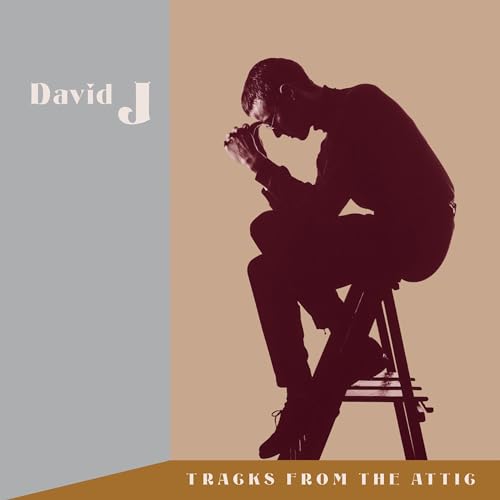 Tracks from the Attic [Vinyl LP] von The Orchard