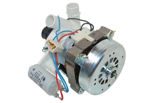 Indesit c00077118 Ariston Creda Hotpoint Indesit Spülmaschinen-Umwälzpumpe MOTOR. Original Teilenummer c00077118, Indesit c00077118 Ariston Creda Hotpoint Indesit Spülmaschinen-Umwälzpumpe MOTOR. Original Teilenummer c00077118, von Indesit