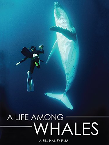 A Life Among Whales [DVD] [2006] von Indiepix Films