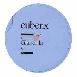 Glandula B/W Repeat [Vinyl Single] von Infine