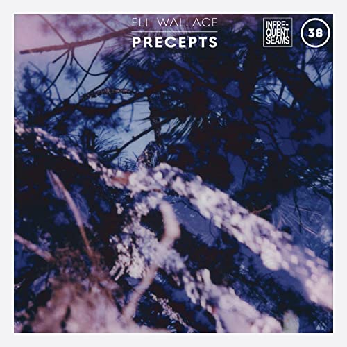 Precepts [Musikkassette] von Infrequent Seams Records