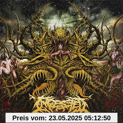 Surpassing the Boundaries of Human Suffering Surpassing the Boundaries of Human Suffering von Ingested