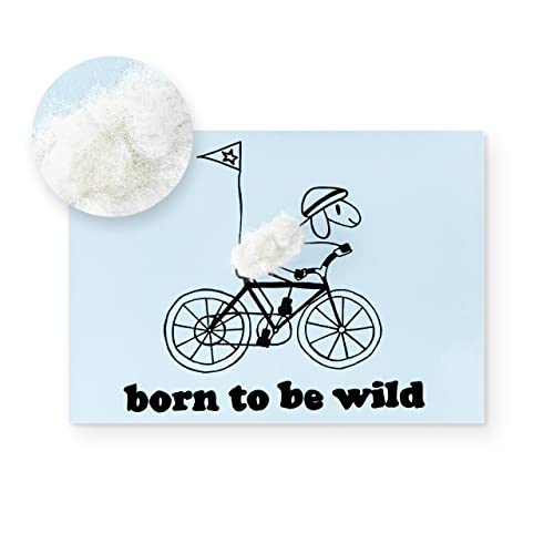 Inkognito Plüsch Postkarte | Anlass: ''lustiger Spruch'', Motiv: Fahrrad ''born to be wild'' | Künstler: Barbara Dienz-Sengmüller | Art-Nr.: 20829 | vom Berliner Verlag von Inkognito