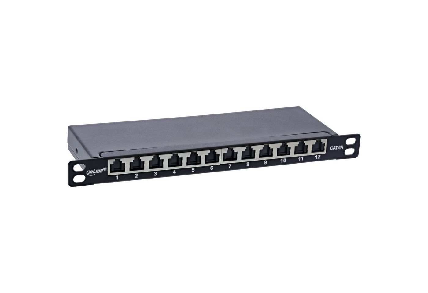 Inline Patchfeld Cat.6A 0,5HE 12-fach, schwarz, mit Staubschutz Netzwerk-Patch-Panel Inline Patchfeld Cat.6A 0,5HE 12-fach, schwarz, mit Staubschutz Netzwerk-Patch-Panel von Inline
