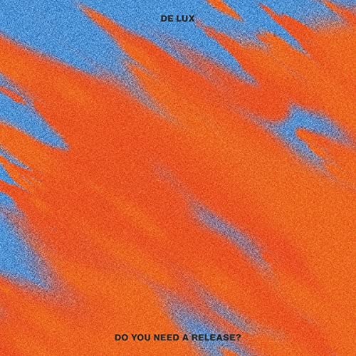 Do You Need a Release? [Vinyl LP] von Innovative Leisure