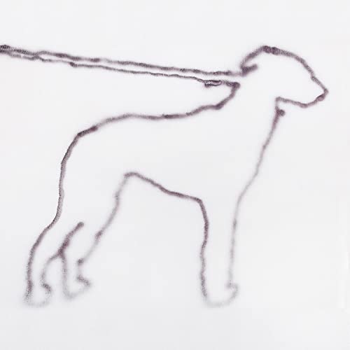 Portrait of a Dog [Vinyl LP] von Innovative Leisure (H'Art)