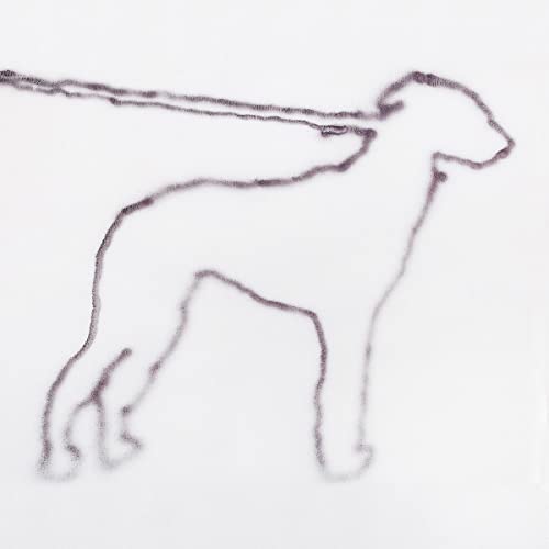 Portrait of a Dog [Vinyl LP] von Innovative Leisure
