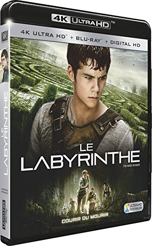Le Labyrinthe [4K Ultra HD + Blu-ray + Digital HD] von Inny-Zagr.