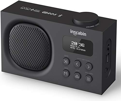 Inscabin P2 Tragbarer DAB/DAB + FM-Digitalradio/Tragbarer drahtloser Lautsprecher mit Bluetooth/Schönes Design/Doppelwecker(Schwarz) von Inscabin