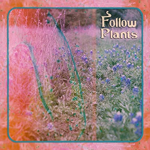 Follow Plants [Musikkassette] von Insect Records