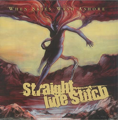 When Skies Wash Ashore [Vinyl LP] von Int.Other: Ims