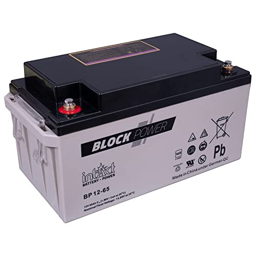 intAct Block-Power BP12-65, 12V 65 Ah, Hochwertige und zuverlässige Versorgungsbatterie, Wartungsfreie AGM-Batterie von Intact
