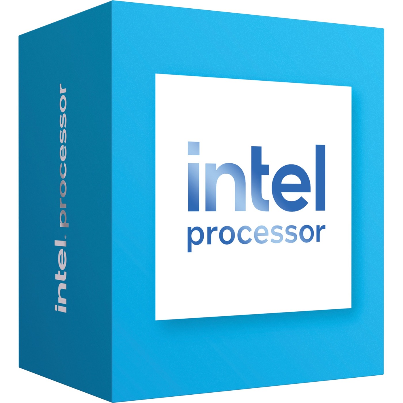 Processor 300, Prozessor von Intel®