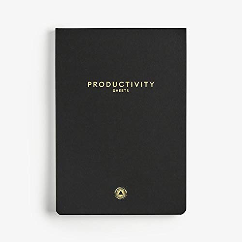 Productivity Planner Sheets - Plan Out Your Daily and Become More Productive | Simple Daily Routine Productivity Planner Sheets - Plan Out Your Daily and Become More Productive | Simple Daily Routine von Intelligent Change