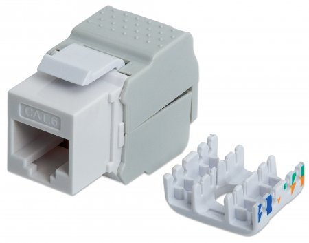 INTELLINET Cat6-Modularbuchse von Intellinet