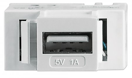 INTELLINET Modularbuchse mit USB Typ A-Ladeport INTELLINET Modularbuchse mit USB Typ A-Ladeport von Intellinet