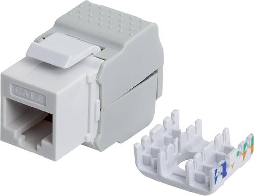 Intellinet 167062 RJ45-Einbaumodul Keystone CAT 5e, CAT 6 von Intellinet