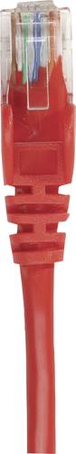 Intellinet 739863 RJ45 Netzwerkkabel, Patchkabel CAT 6 S/FTP 1.50m Rot Folienschirm, Geflechtschirm, von Intellinet