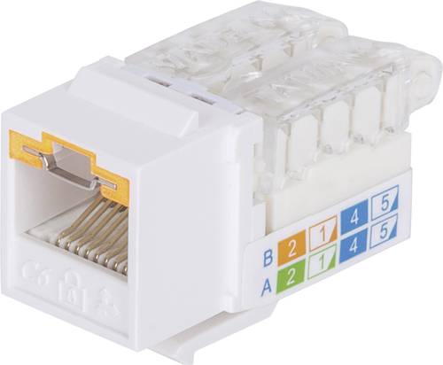 Intellinet abschließbare Cat6 Modularbuchse UTP Keystone werkzeuglos weiß RJ45-Einbaumodul Keyston von Intellinet