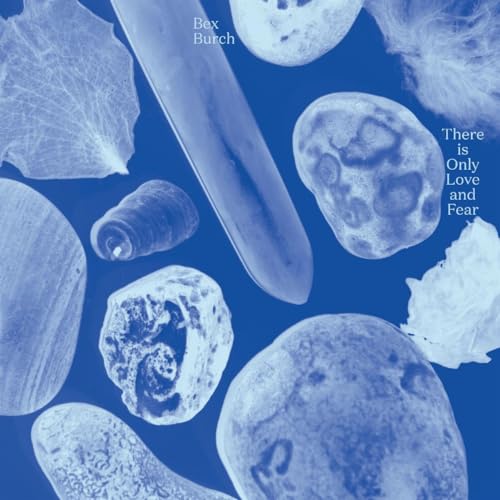 There Is Only Love and Fear [Vinyl LP] von K7