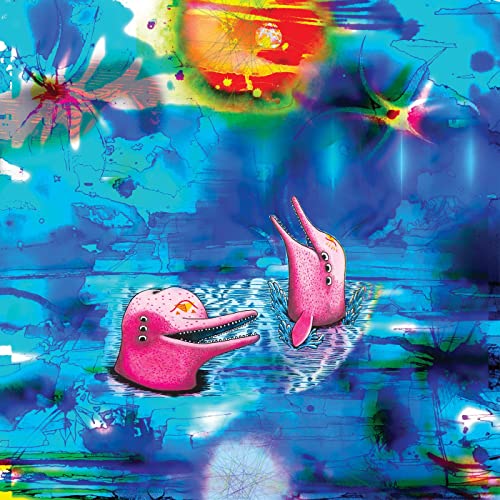 Pink Dolphins von International Anthem Recording Co.