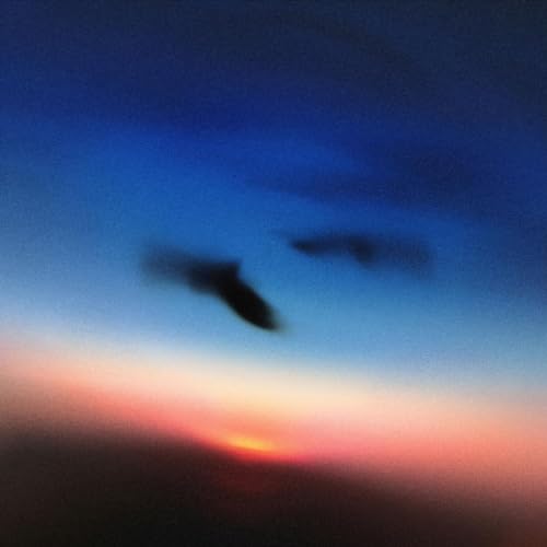 Resavoir II [Vinyl LP] von International Anthem Recording Co.