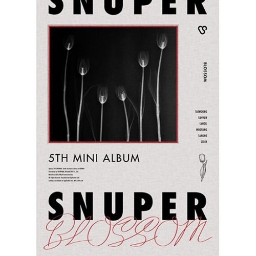 SNUPER - BLOSSOM (5th Mini Album) CD+Booklet+Postcard+2Photocards+Folded Poster von Interpark