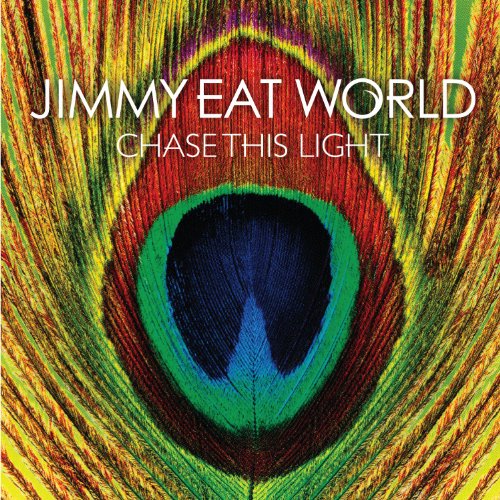 Chase This Light [Vinyl LP] von Interscope