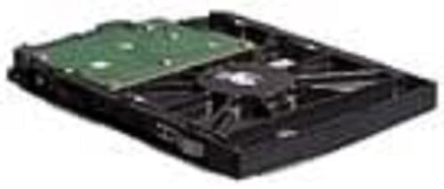 Iomega StorCenter HDD 36131 Festplatte 3,5 Zoll 1000 GB Serie ATA II – Festplatten (3,5 Zoll, 1000 GB, 7200 U/min) von Iomega