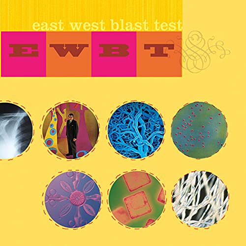 Popular Music for Unpopular People von Ipecac Recordings