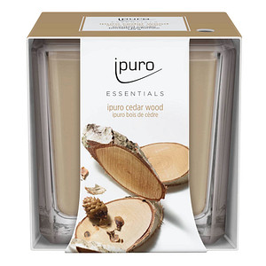 ipuro Duftkerze Cedar Wood  beige Zedernholz von Ipuro