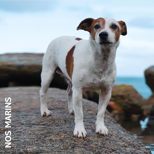 Nos marins [Vinyl LP] von Irfan, le Label (Membran)