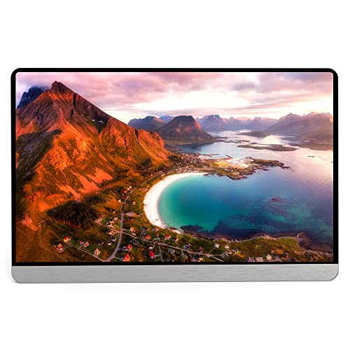 Irfora überwachen,16,1-Zoll-Ultra-Slim-Monitor mit Typ-C-Mini-HD-Anscüssen für PC-Telefon-Tablet-Spielekonsole 1080P IPS/USB-C-betrieben/HDR/versteckter Ständer US-Stecker von Irfora