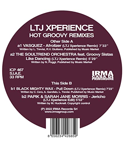 Hot Groovy Remixes [Vinyl LP] von Irma