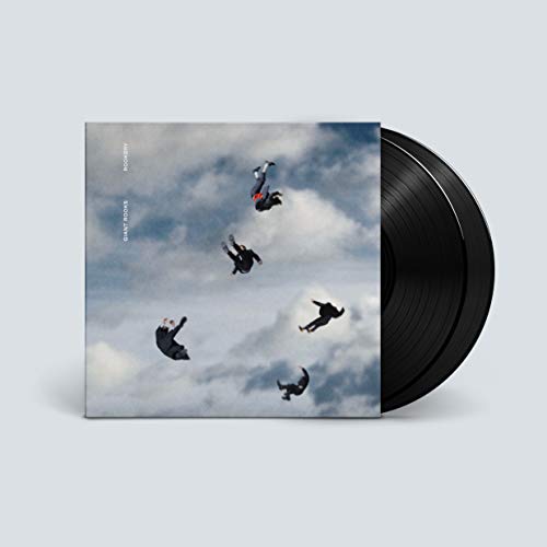 Rookery [Vinyl LP] von Virgin