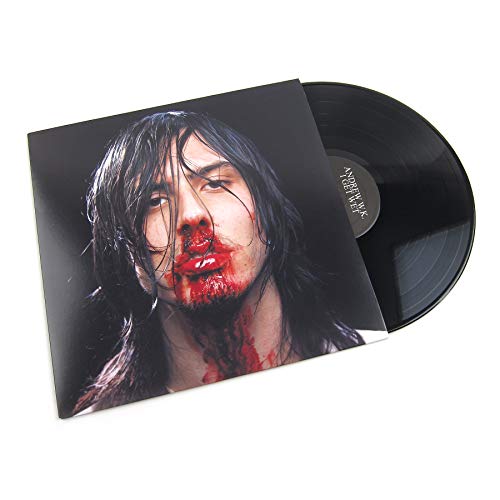 Andrew W.K. I Get Wet Vinyl LP von Island Records