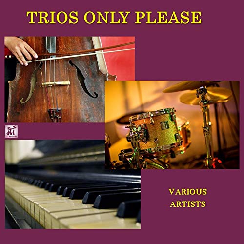 Trios Only Please (Various Artists) von Iti Records