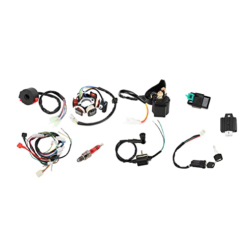Quad -Drahtgabeless, CDI -Kabelbaumersatz für ATV Quad Dirt Bike Go Kart -Teile mit Elektrik -Statorspule, ATV -Teile -Kit von Itonash