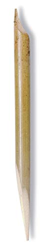 J.Herbin 22800T Bambusfeder (groß, ideal für fernöstliche Kalligraphie) 1 Stück naturbraun von J.Herbin